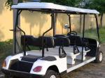Electric Steel Lithium Golf Cart Buggy 30 Mph 3.5KW 60V White Custom