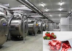 Quality 100KG Food Vacuum Freeze Dryer Industrial Freeze Drying Equipment wholesale