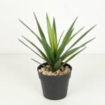 Texture Fidelity Greenery Agave Faux Bonsai Tree 22 CM 25 CM 29 CM