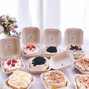 Quality Restaurant Fast Food Takeaway Bento Lunch Square Biodegradable Disposable wholesale