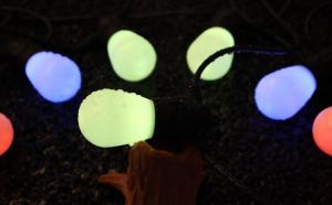 Quality LED RGB Multi Coloured Festoon Lights Waterproof Outdoor Decor String Light 25000H wholesale