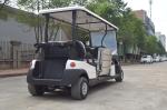 4 Passenger Handicap & Wheelchair Accessible Electric Golf Cart