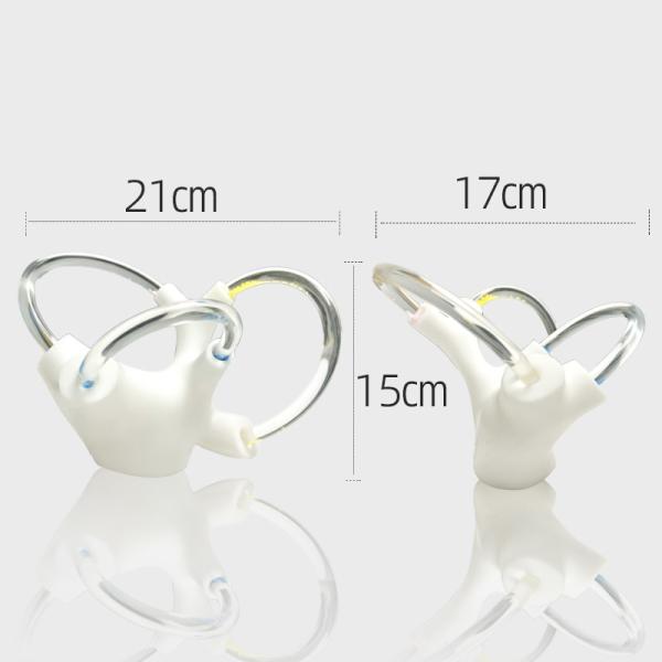 Balance Cochlea Inner Ear Cranial Nerve Rehabilitation Anatomical Function