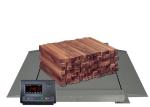 5000Kg Stainless Steel Floor Scales