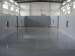 Cold/Chiller/Freezer Room Insulated Sandwich PU Panel with Color Steel