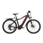 350w Portable Folding Electric Bike Hub Motor E Bike With Removable Battery 36V