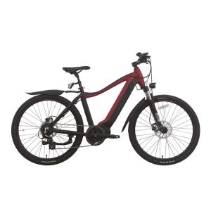Quality 12 Inch Exercise Portable Electric Bike 48v Battery 400 Lb Capacity 20km H wholesale