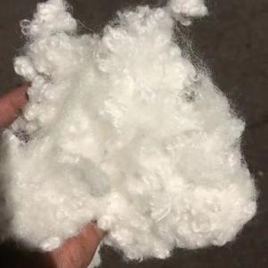Quality White Virgin Polypropylene Staple Fiber Synthetic For Industrial wholesale
