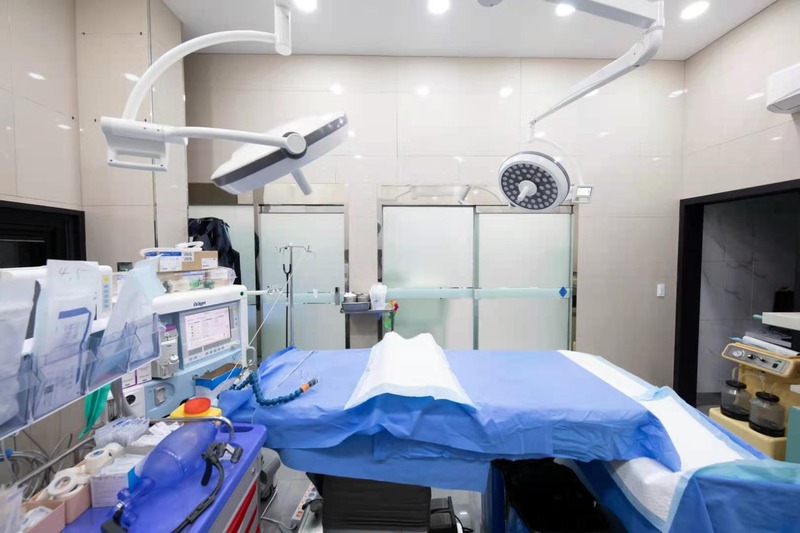 Veterinary Celling Medical Operation Room Theatre Led Ot Shadowless Light Surgical Lamp Good Price Factory