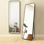 Aluminium Color Frame Modern Full Length Rectangle Standing Metal Framed Floor
