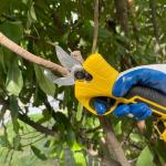 16.8V Brushless Electric Pruning Shears Garden Tool Cordless Scissors For Fruit