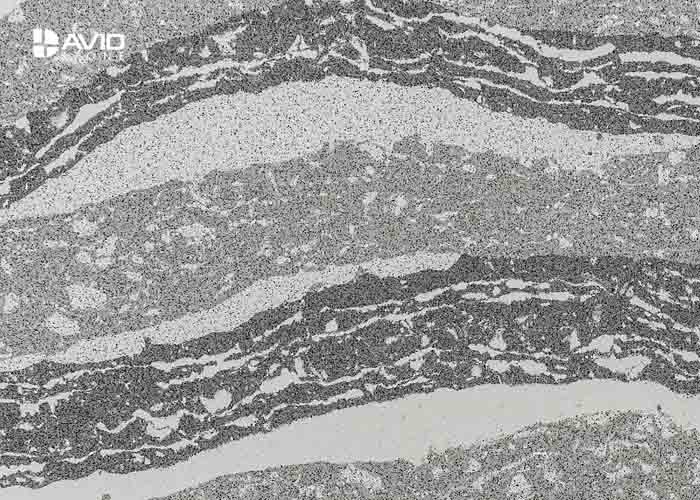 Chemical Resistant Quartz Bathroom Countertops Slab Low Maintenance 3200 X 1600mm