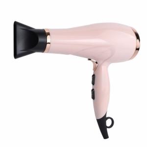 Quality OEM Electric Professional Salon Hair Dryer For Commercial Hotel Household wholesale