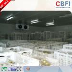 100mm 120mm 150mm 200mm Freezer Cold Room Low Electric Power Consumption
