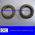 Micro Gear Spiral Bevel Gear
