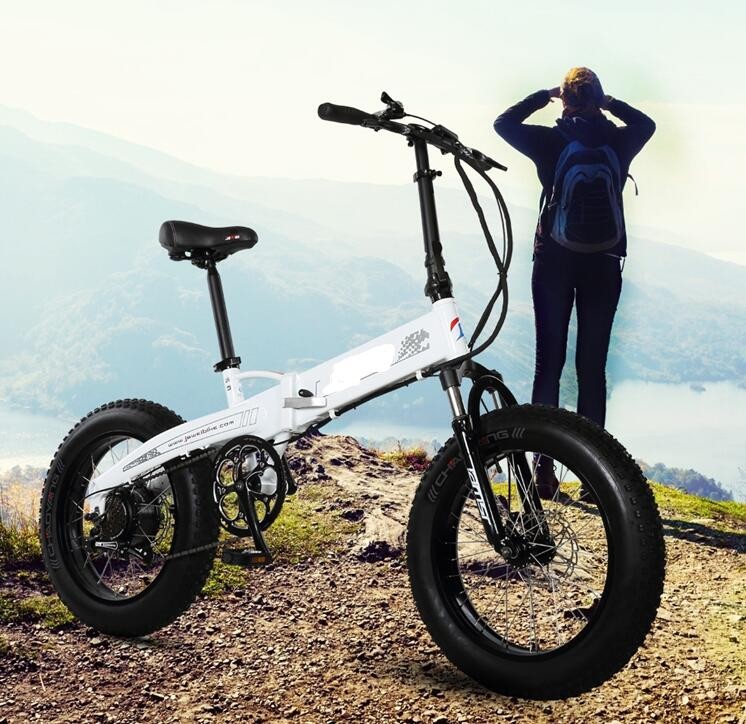 Aluminum 350W 36V 20 Inch Fat Tyre Folding Electric Bike