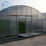 Polyethylene Vegetable Tunnel Film Greenhouse Galvanized Single Span