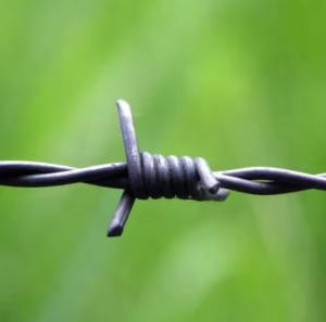 Quality Double Twist Barbed Wire wholesale