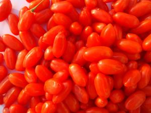 Quality Amorberry Goji Berry/Wolfberry/Lycium Barbarum Medlar wholesale with high quantity from Ningxia factory wholesale