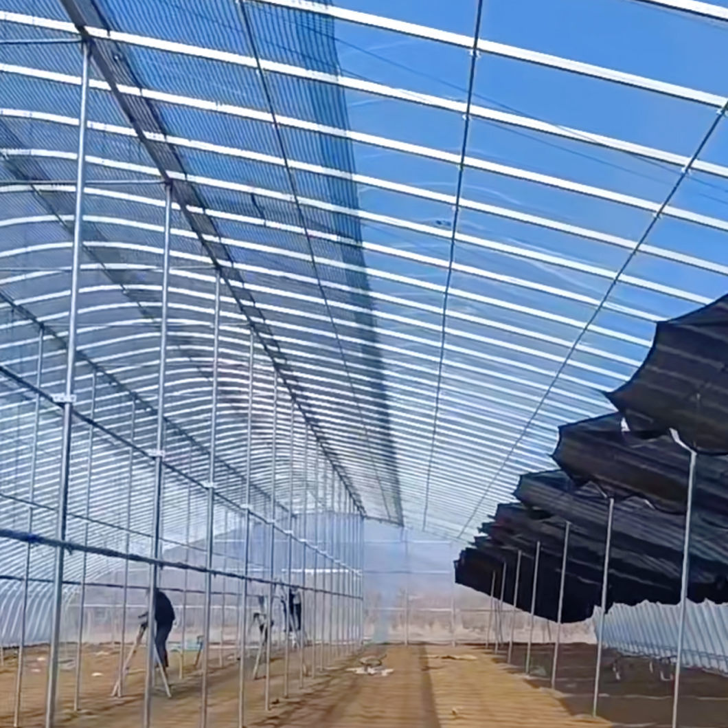Tunnel Greenhouse for Agriculture and Vegetables