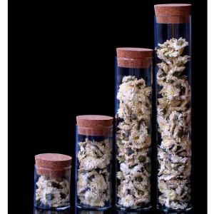 Quality Glass bottle with cork stopper wholesale