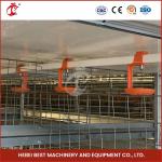 Automatic breeding Automatic Broiler Chicken Cage Rose