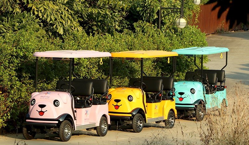 Four Wheel Electric Golf Scooter 4 Passenger With Lithium Battery
