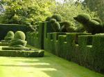 HAIHONG Beautiful Plants And Flowers Topiary Sculpture Fashionable