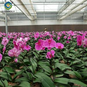 Quality Indoor Outdoor Use Floral Greenhouse Commercial Green Houses Weather Proof wholesale