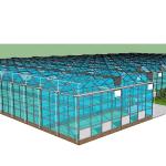 Vegetable Fruits Flowers Aquaponics System Multi-Span Agricultural Greenhouses