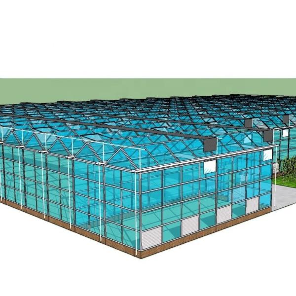 Vegetable Fruits Flowers Aquaponics System Multi-Span Agricultural Greenhouses