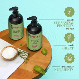 Quality Infused Rosemary Mint Hair Regain Shampoo With Biotin Paraben Free wholesale