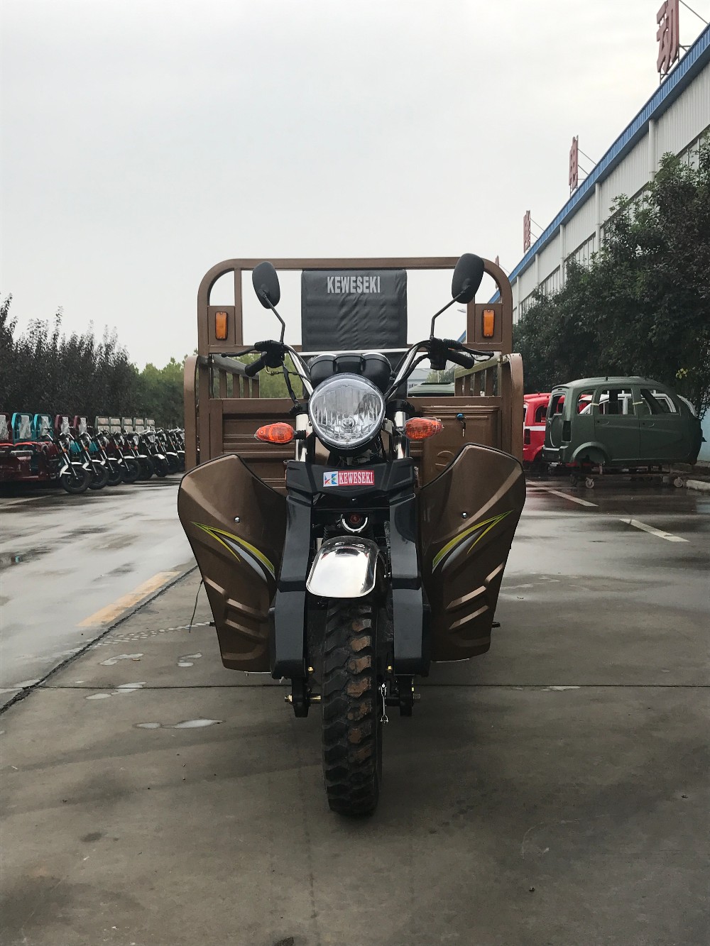 Garden Heavy Duty 3.4m 250cc E Bike Cargo Tricycle