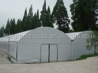 White Double Layer Greenhouse for Mushroom Farming Profitability