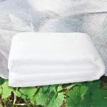 1.6mx10m Plant Protection Fleece , Multipurpose Non Woven Crop Cover