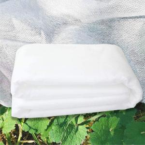 Quality 1.6mx10m Plant Protection Fleece , Multipurpose Non Woven Crop Cover wholesale