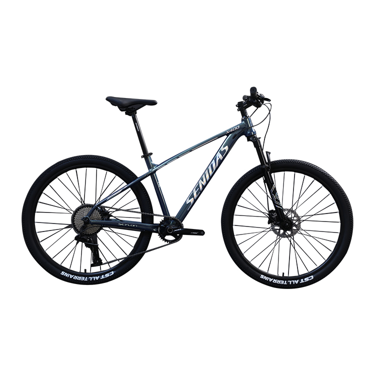 29 Inch Mountain Bike Marlin Made with Copy Carbon Welding and Aluminum Rim Material