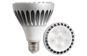 Quality E27 10W Silvery Led Home Lighting PAR30 LED Bulb Halogen PAR Lamps wholesale