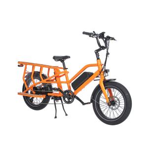 Quality 20&quot; Wheel Size Dual Battery Electric City Bicycle with E Cargo Bike and LCD Display wholesale