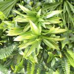 Home Decoration Vertical Artificial Plant Wall 4x25cm