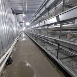 Quality Hot Galvanized Battery Chicken Cage For Broiler 17 Chicks / Cell wholesale