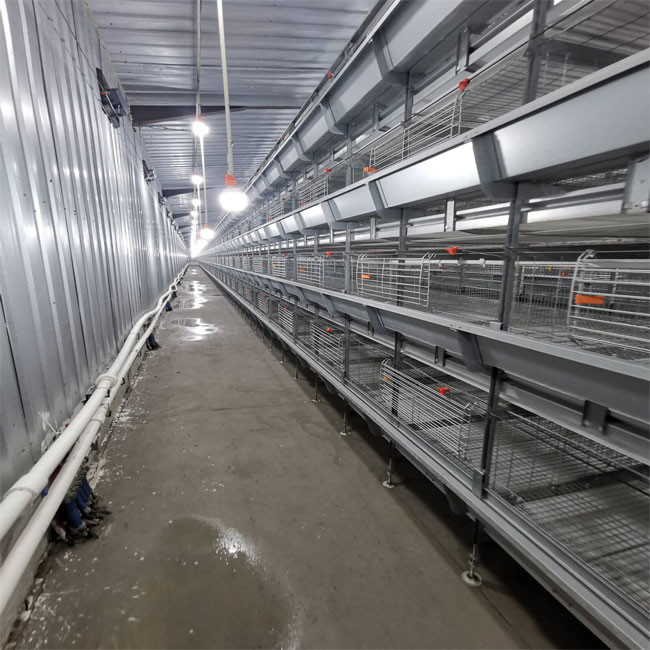 Automatic Battery Broiler Chicken Cage For Chicken Farm