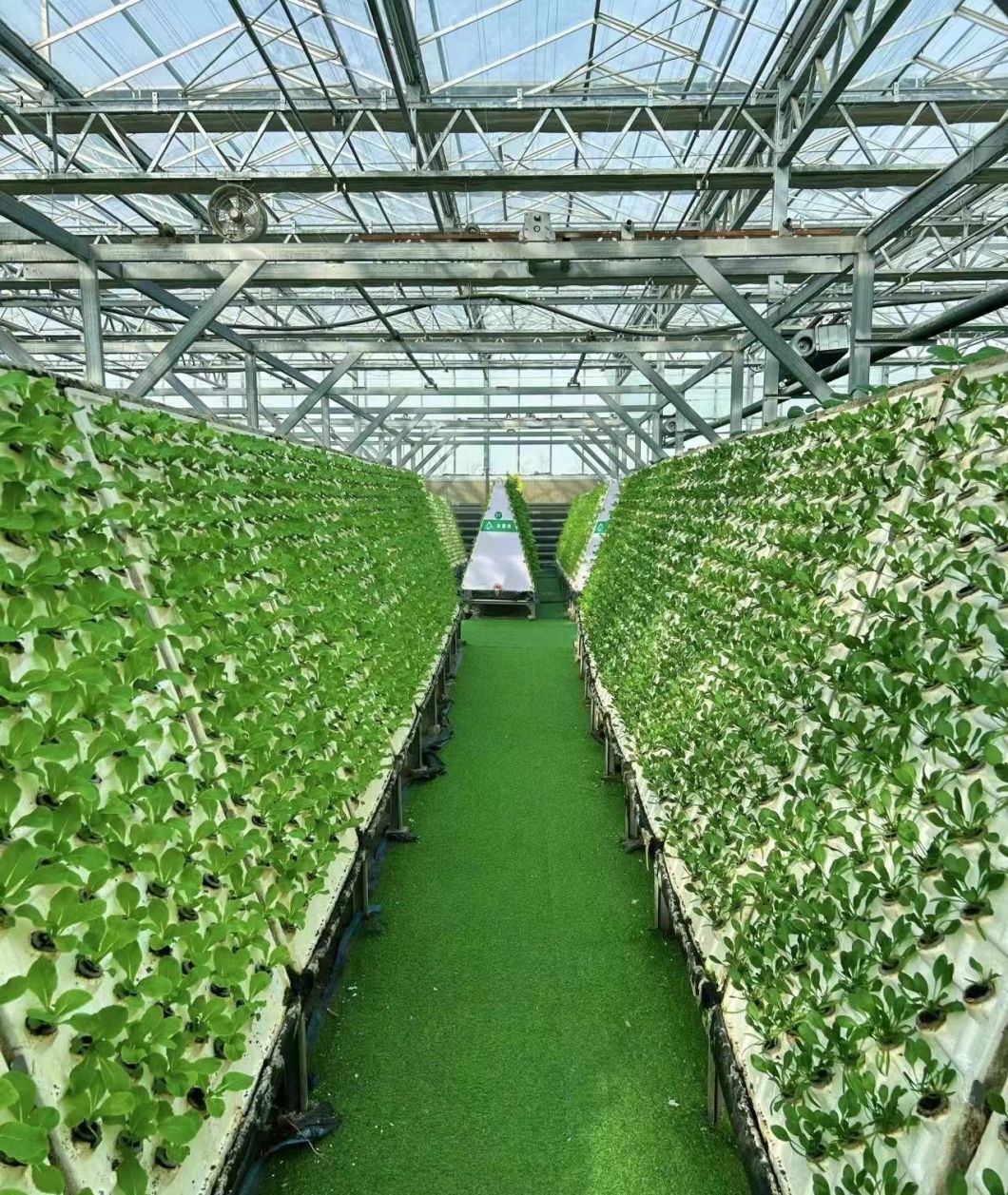 Greenhouse Hydroponics Growing System for Vegetables
