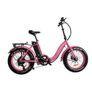 Quality Folding Fat Tire Electric Mountain Bike Full Suspension 20 Inch Thick Tyre Electric Bike wholesale