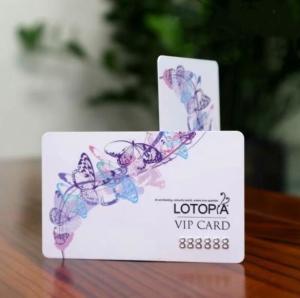 Quality Magnetic Stripe Custom Plastic VIP Cards wholesale
