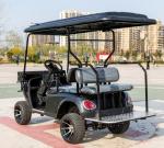 2+2 Person Modern Golf Cart Fast Electric Mini Mobility Steering Hunting Golf