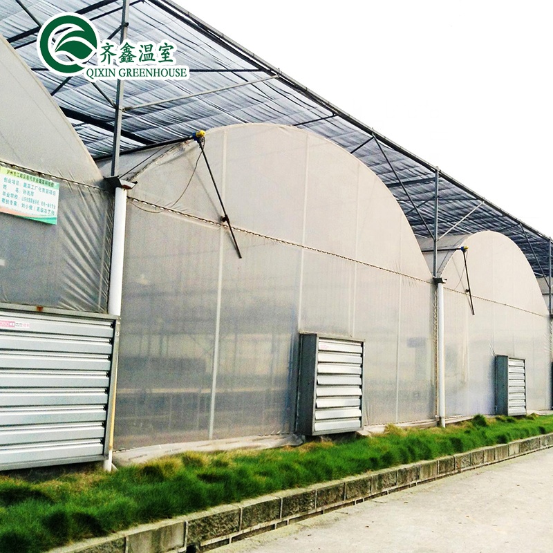 Glass Greenhouse Ventilation System with Tempered Glass or PC Sheet Top Covering