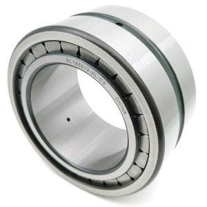 Quality N1006 30*55*13 Single Row Cylindrical Roller Bearings Machine Tool High Precision Spindle Bearings wholesale