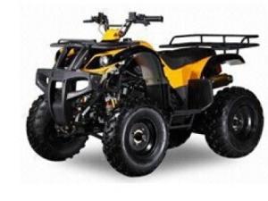 Quality 150cc-300cc Air Cooled ATV/Quad wholesale