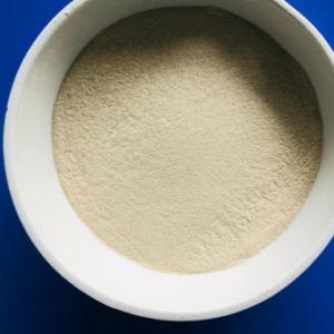 Quality Temperature Range 30C-70C Food Grade Enzymes for a Better Immune System wholesale